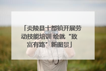 炎陵县十都镇开展劳动技能培训 绘就“致富有路”新图景