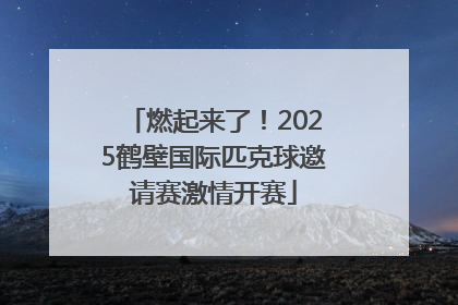 燃起来了！2025鹤壁国际匹克球邀请赛激情开赛