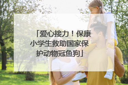 爱心接力！保康小学生救助国家保护动物冠鱼狗