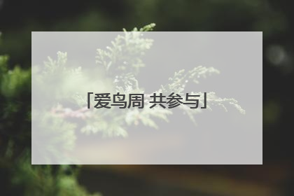 爱鸟周 共参与