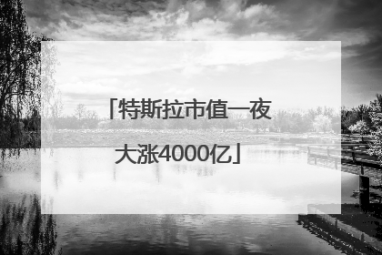 特斯拉市值一夜大涨4000亿