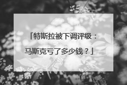 特斯拉被下调评级：马斯克亏了多少钱？