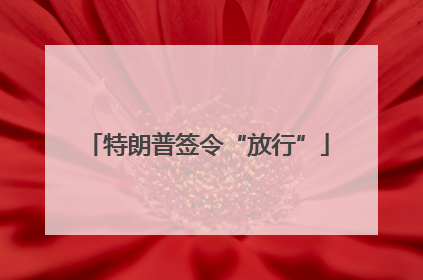 特朗普签令“放行”