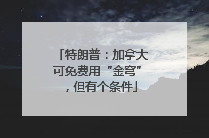 特朗普：加拿大可免费用“金穹”，但有个条件