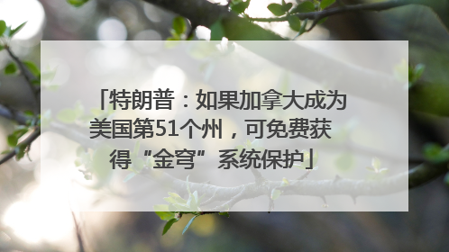 特朗普：如果加拿大成为美国第51个州，可免费获得“金穹”系统保护