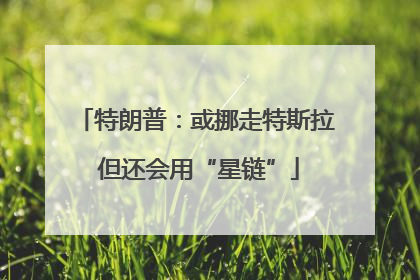 特朗普：或挪走特斯拉 但还会用“星链”