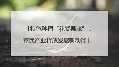 特色种植“花繁果茂”，富民产业释放发展新动能