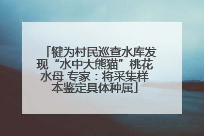 犍为村民巡查水库发现“水中大熊猫”桃花水母 专家：将采集样本鉴定具体种属