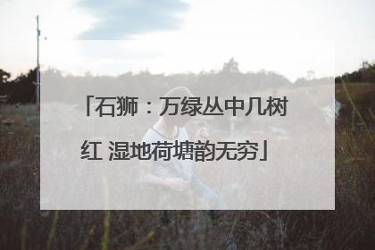 石狮：万绿丛中几树红 湿地荷塘韵无穷