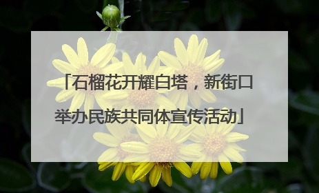 石榴花开耀白塔，新街口举办民族共同体宣传活动
