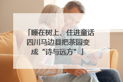 睡在树上、住进童话 四川马边县把茶园变成“诗与远方”