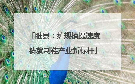 睢县：扩规模提速度 铸就制鞋产业新标杆