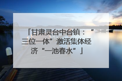 甘肃灵台中台镇：“三位一体”激活集体经济“一池春水”