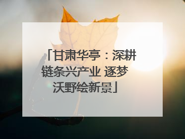 甘肃华亭：深耕链条兴产业 逐梦沃野绘新景