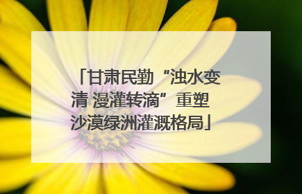 甘肃民勤“浊水变清 漫灌转滴”重塑沙漠绿洲灌溉格局