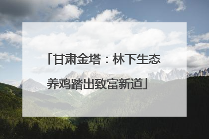 甘肃金塔：林下生态养鸡踏出致富新道