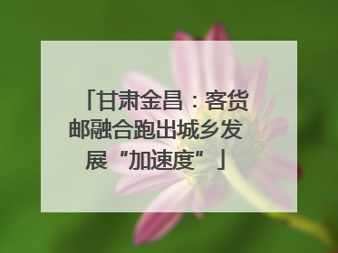 甘肃金昌：客货邮融合跑出城乡发展“加速度”