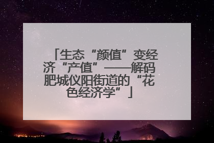 生态“颜值”变经济“产值”——解码肥城仪阳街道的“花色经济学”