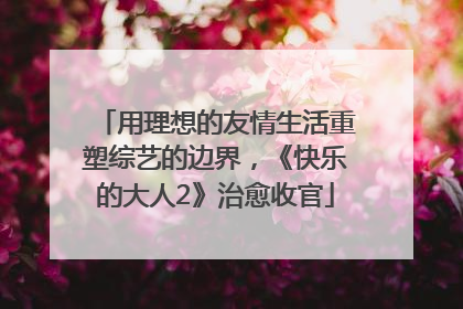 用理想的友情生活重塑综艺的边界，《快乐的大人2》治愈收官