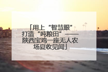 用上“智慧眼” 打造“吨粮田”——陕西宝鸡一座无人农场夏收见闻