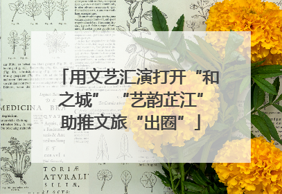 用文艺汇演打开“和之城” “艺韵芷江”助推文旅“出圈”