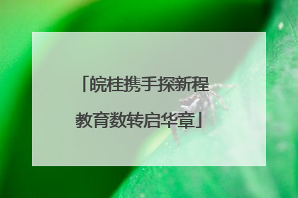 皖桂携手探新程 教育数转启华章