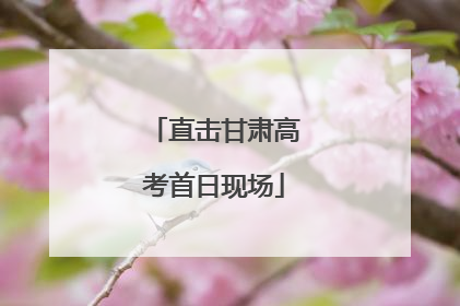 直击甘肃高考首日现场