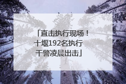 直击执行现场！十堰192名执行干警凌晨出击