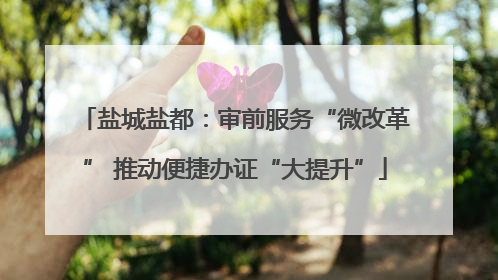 盐城盐都：审前服务“微改革” 推动便捷办证“大提升”