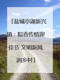 盐城亭湖新兴镇：粽香传情迎佳节 文明新风润乡村