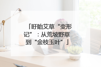盱眙艾草“变形记”：从荒坡野草到“金枝玉叶”