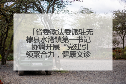 省委政法委派驻无棣县水湾镇第一书记 协调开展“党建引领聚合力，健康义诊惠乡亲”义诊活动