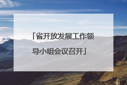 省开放发展工作领导小组会议召开