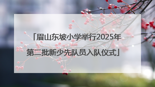 眉山东坡小学举行2025年第二批新少先队员入队仪式