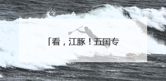 看，江豚！五国专家南京江边考察邂逅“微笑天使”