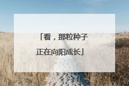 看，那粒种子正在向阳成长