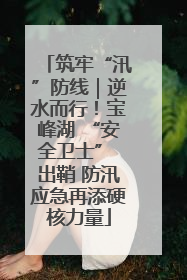 筑牢“汛”防线｜逆水而行！宝峰湖 “安全卫士” 出鞘 防汛应急再添硬核力量