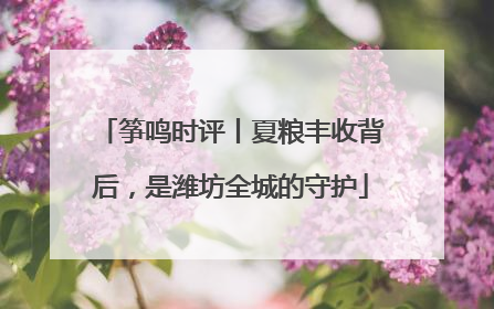 筝鸣时评丨夏粮丰收背后，是潍坊全城的守护