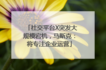 社交平台X突发大规模宕机，马斯克：将专注企业运营