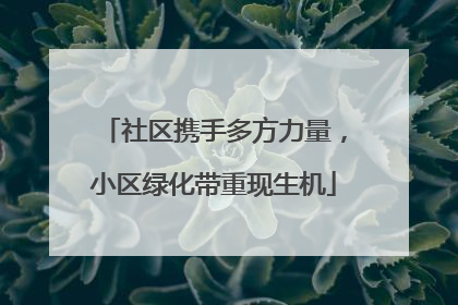 社区携手多方力量，小区绿化带重现生机