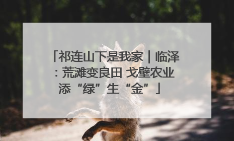 祁连山下是我家｜临泽：荒滩变良田 戈壁农业添“绿”生“金”