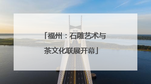 福州：石雕艺术与茶文化联展开幕