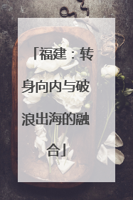 福建：转身向内与破浪出海的融合