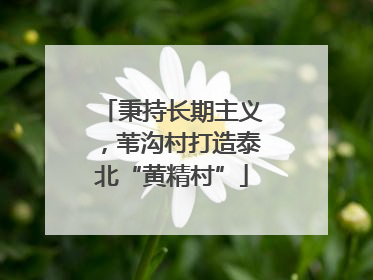 秉持长期主义，苇沟村打造泰北“黄精村”