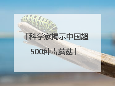 科学家揭示中国超500种毒蘑菇