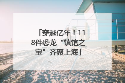 穿越亿年！118件恐龙“镇馆之宝”齐聚上海