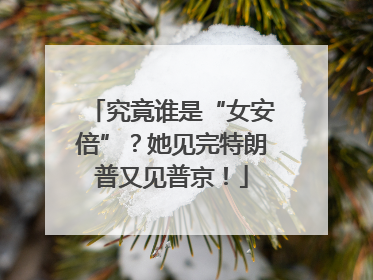 究竟谁是“女安倍”？她见完特朗普又见普京！