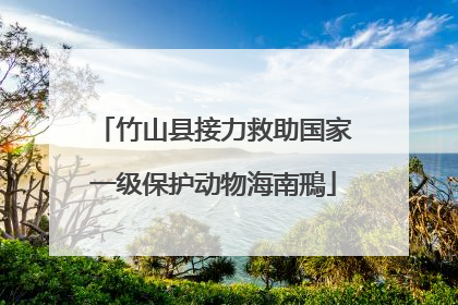 竹山县接力救助国家一级保护动物海南鳽