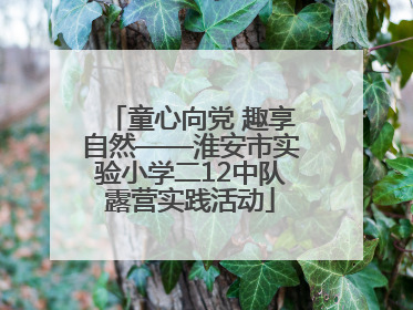 童心向党 趣享自然——淮安市实验小学二12中队露营实践活动