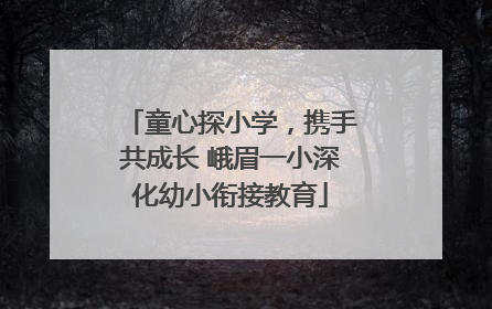 童心探小学，携手共成长 峨眉一小深化幼小衔接教育